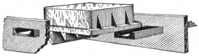 About One-Third Actual Size
