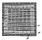 FLW prism tile design D28,000
